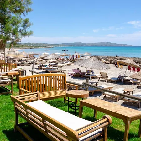 Funbeach / - Lilium Evleri
